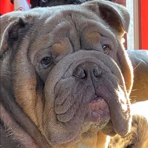 Meet your Posher, Rob